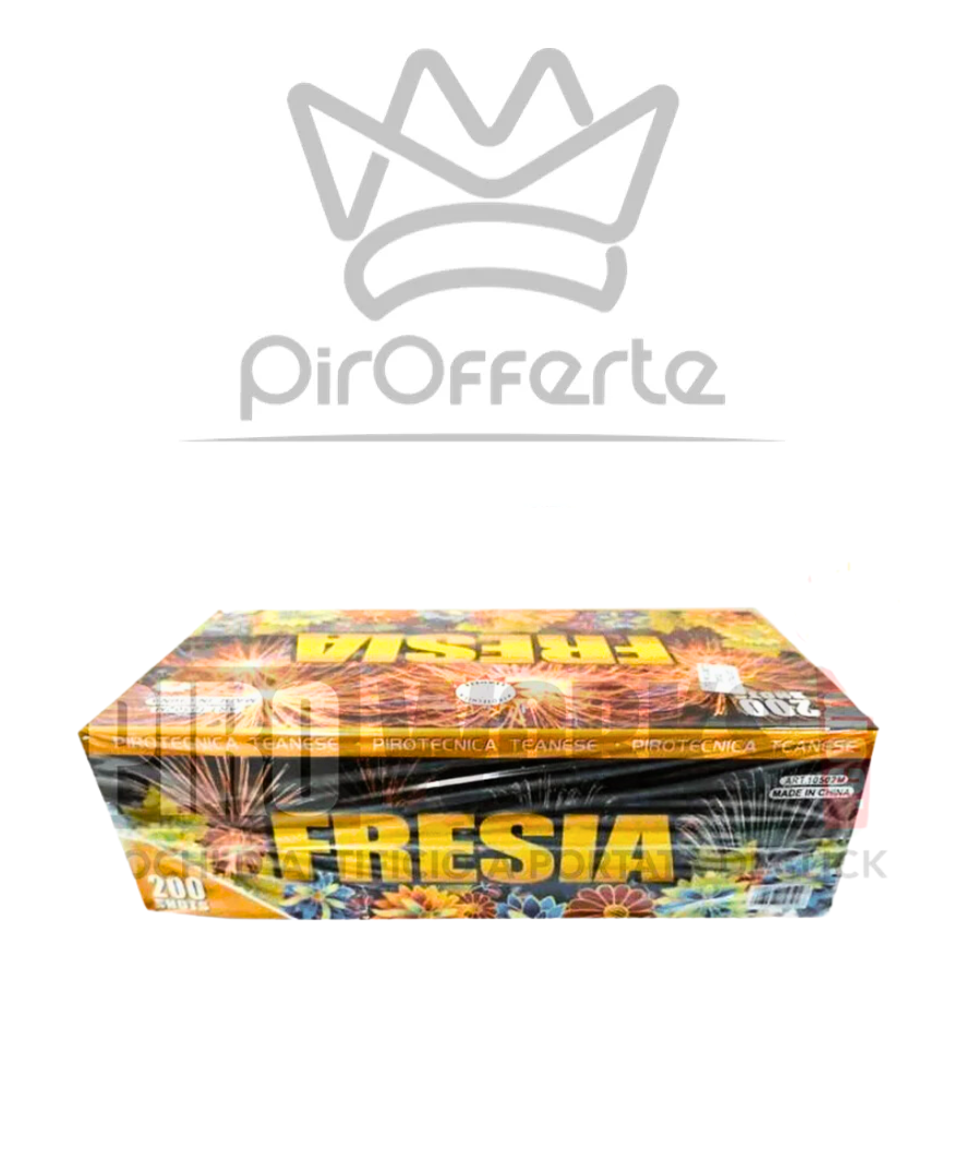 Batteria Compound FRESIA 200 colpi Dritta