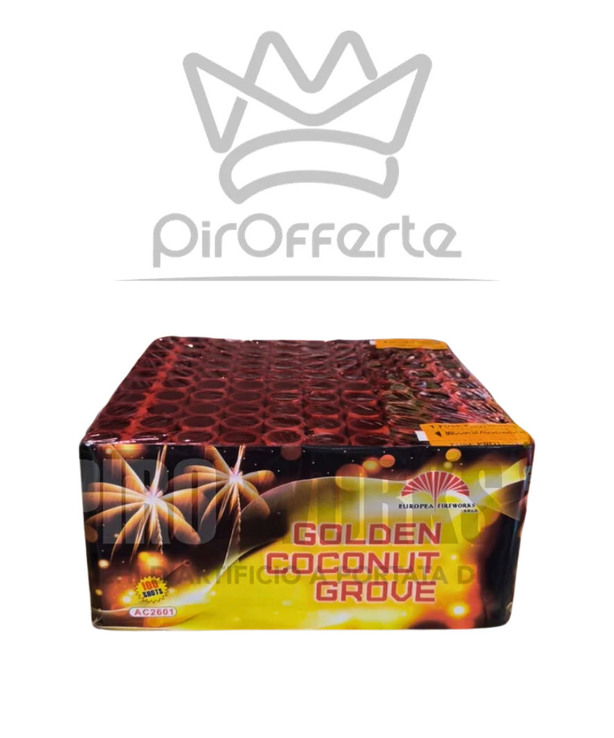 Batteria Golden Coconout Grove 100 colpi