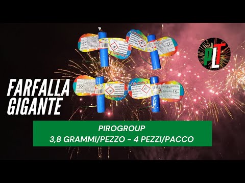 Farfalla Gigante da 6 Pz | Teanese